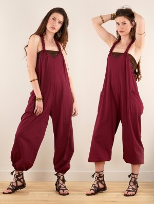 Wine Women Toonzshop Sampatti Harem Pant Overalls Pants | TAJNCRO-24